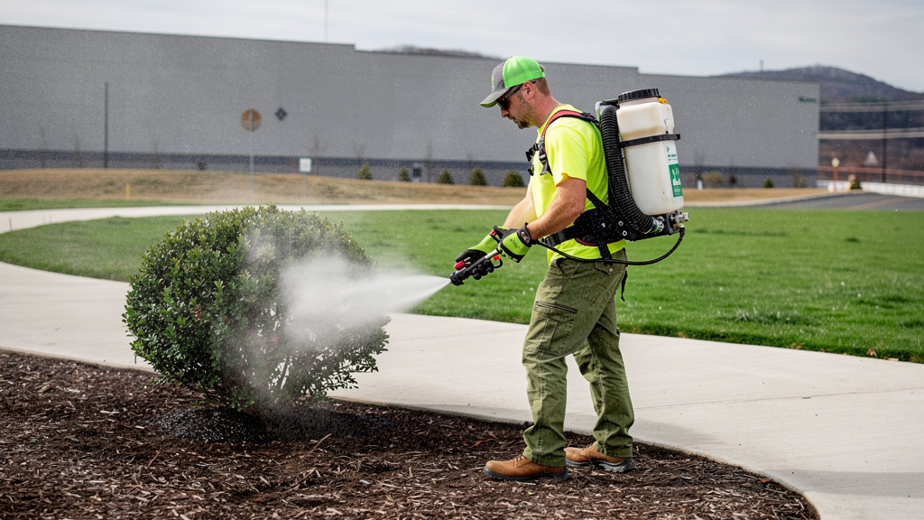 Worker spraying eco friendly spray to control pests